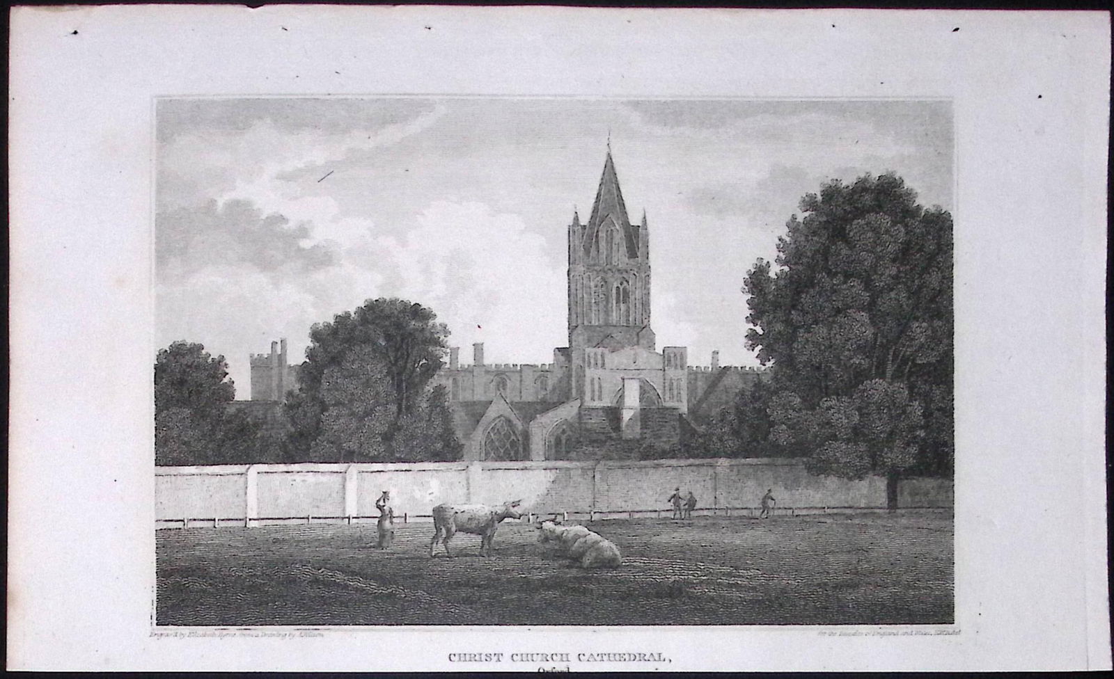 Oxford Christchurch Cathedral Antique 212 Years-Old Steel-Engraving-46 (1 of 2)