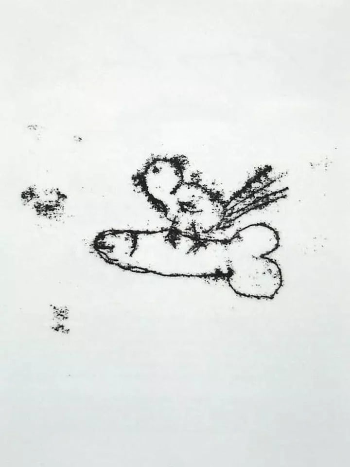 Tracey Emin (b1963)'Singing Bird' (For The Venice Biennale), Original 10 x 8cm Limited Edition, 2... - 6