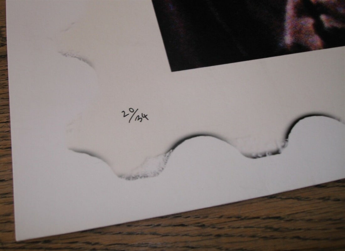 James Cauty - Walt Disney Bio World - America Shut Up -Signed Edition No. 20/34 (2006) - Early Ra... - 3