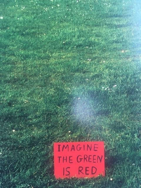 David Shrigley (b1968) Rare Art Exhibition Card, ‘Imagine The Green Is Red’, 27 x 22 cms - 5