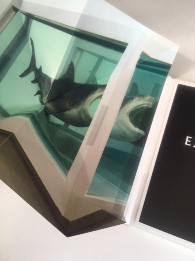 Damien Hirst (b 1965) Beyond Belief, Hardcover, For Whitecube Gallery, 1st Edition, 2008. - 7
