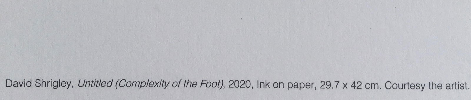 David Shrigley OBE (b 1968)‘Complexity of The Foot’ Offset Lithograph, Ltd Edition of 35 - 10