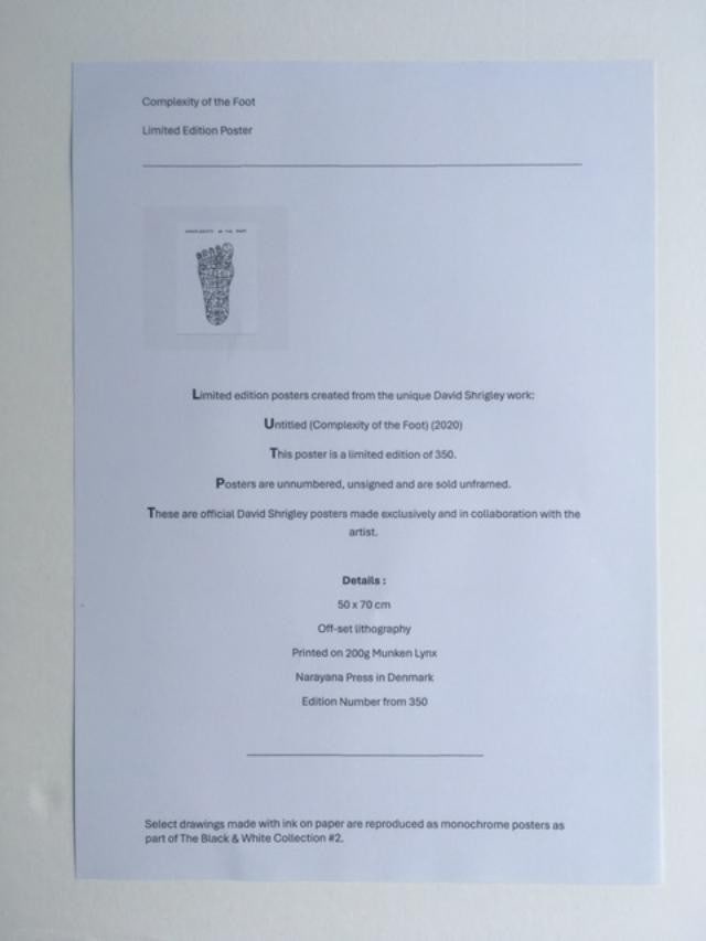 David Shrigley OBE (b 1968)‘Complexity of The Foot’ Offset Lithograph, Ltd Edition of 35 - 11