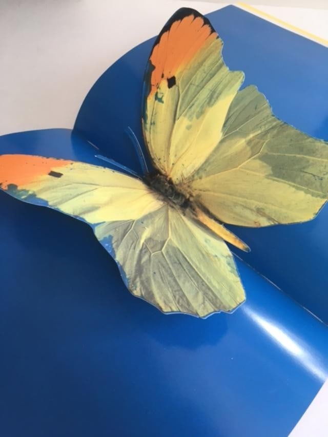 Damien Hirst (b 1965) I Want To Spend My Life Everywhere, With Everyone, 3D Book, 1997: Title: Damien Hirst (b 1965) I Want To Spend My Life Everywhere, With Everyone, 3D Book, 1997 Description: Damien Hirst (b 1965) I Want To Spend My Life Everywhere, With Everyone, 3D Book, 1997 