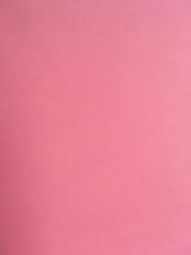 David Shrigley OBE (b 1968) ‘Some of My Best Friends Are Pigs’ Offset Lithograph, Editio - 10