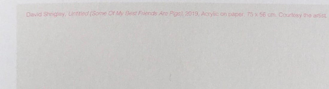 David Shrigley OBE (b 1968) ‘Some of My Best Friends Are Pigs’ Offset Lithograph, Editio - 11