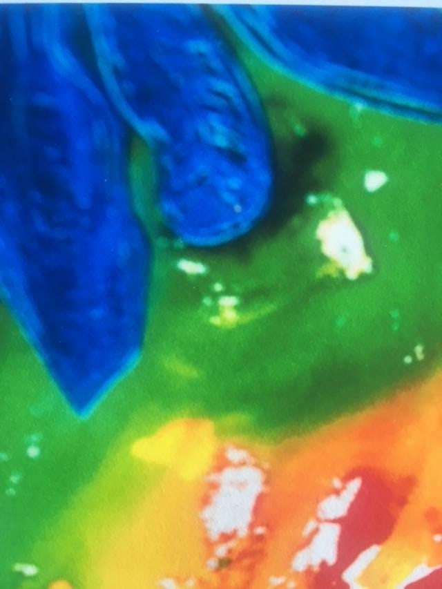 Jamie Reid (1947-23) ‘Untitled’ Abstract Print, Anarchy Moniker Within The Image, 30 x 4 - 4