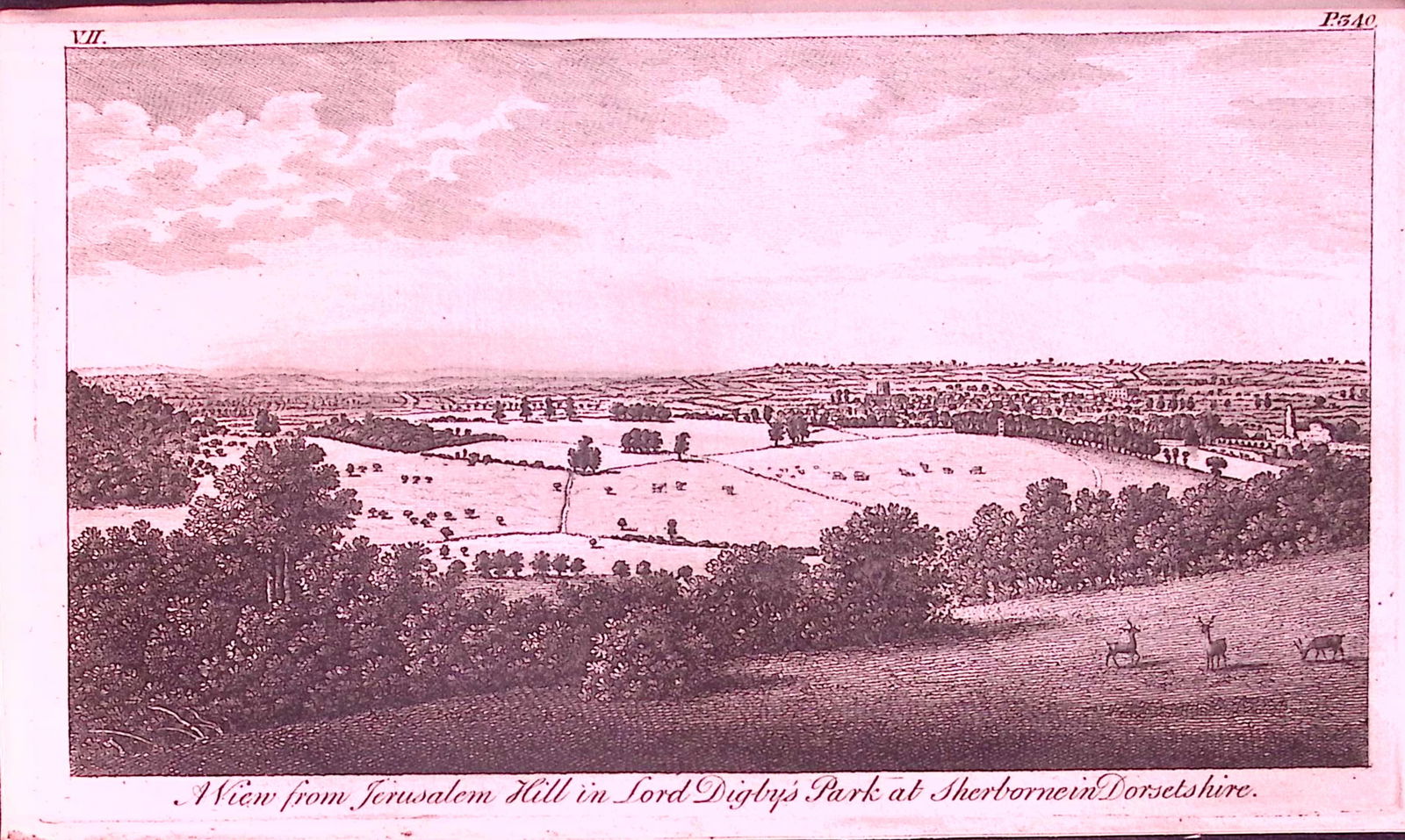 Dorset-Sherbourne Rare 1776 Georgian Copper Plate Antique Engraving -59: Title: Dorset-Sherbourne Rare 1776 Georgian Copper Plate Antique Engraving -59 Description: This Nearly 250-Year-Old Antique Piece Was Removed from an Edition of. A