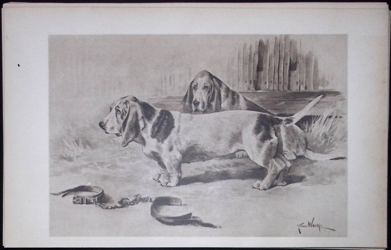 Pair Basset-Hounds Antique Book Plate Rawdon Lee Modern Dogs -65: Title: Pair Basset-Hounds Antique Book Plate Rawdon Lee Modern Dogs -65 Description: This Antique Book Plate Was Removed from an Edition of Modern Dogs by Rawdon Lee 1893.