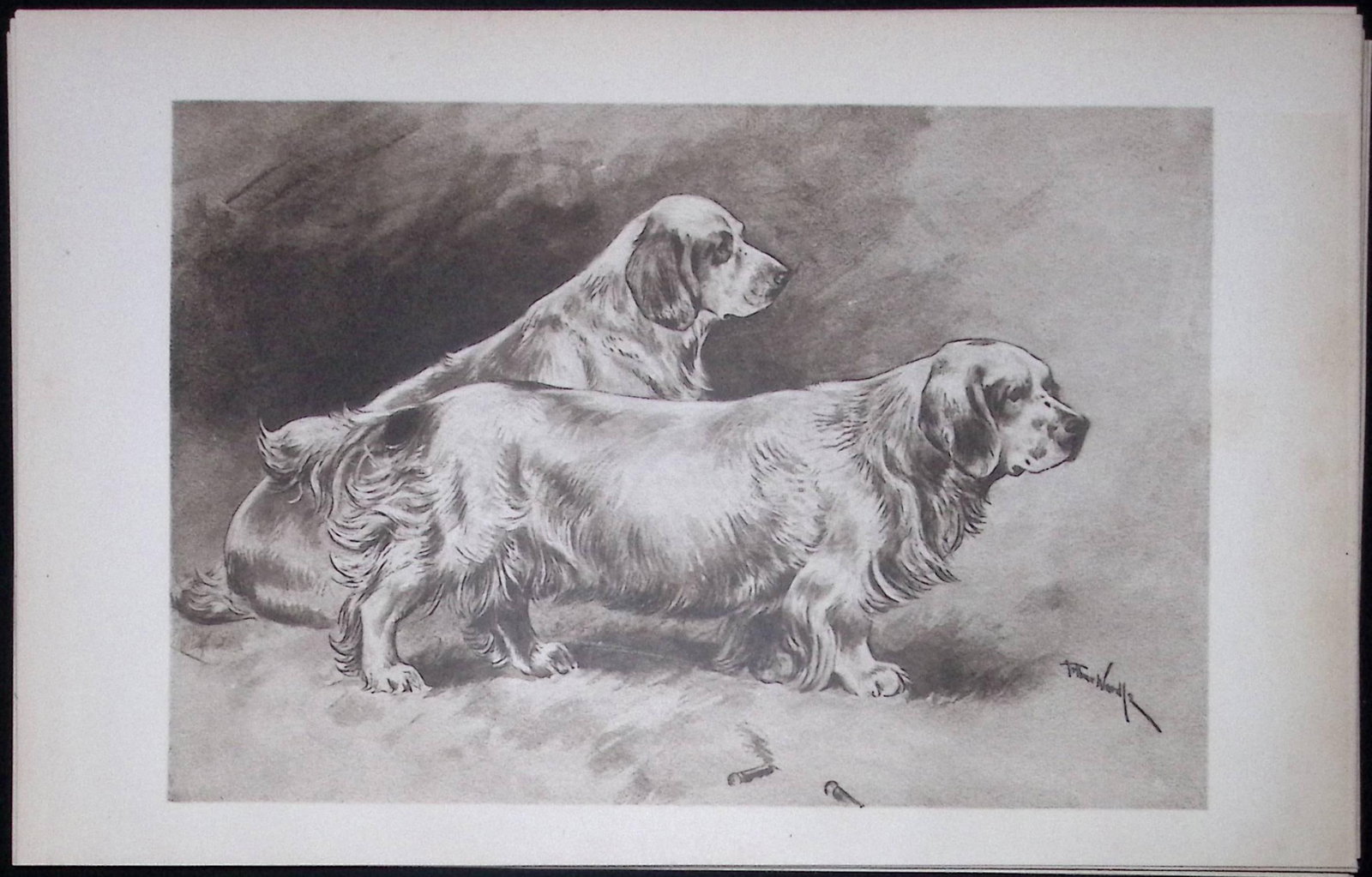 air Clumber Spaniels Antique Book Plate Rawdon Lee Modern Dogs 63: Title: air Clumber Spaniels Antique Book Plate Rawdon Lee Modern Dogs 63 Description: This Antique Book Plate Was Removed from an Edition of Modern Dogs by Rawdon Lee 1893. </