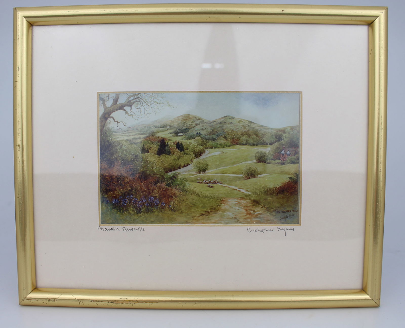 Pair of Limited Edition Framed Worcester Prints: Title: Pair of Limited Edition Framed Worcester Prints Description: Pair of Limited Edition Framed Worcester Prints Condition: Used Location Category: Antiques"