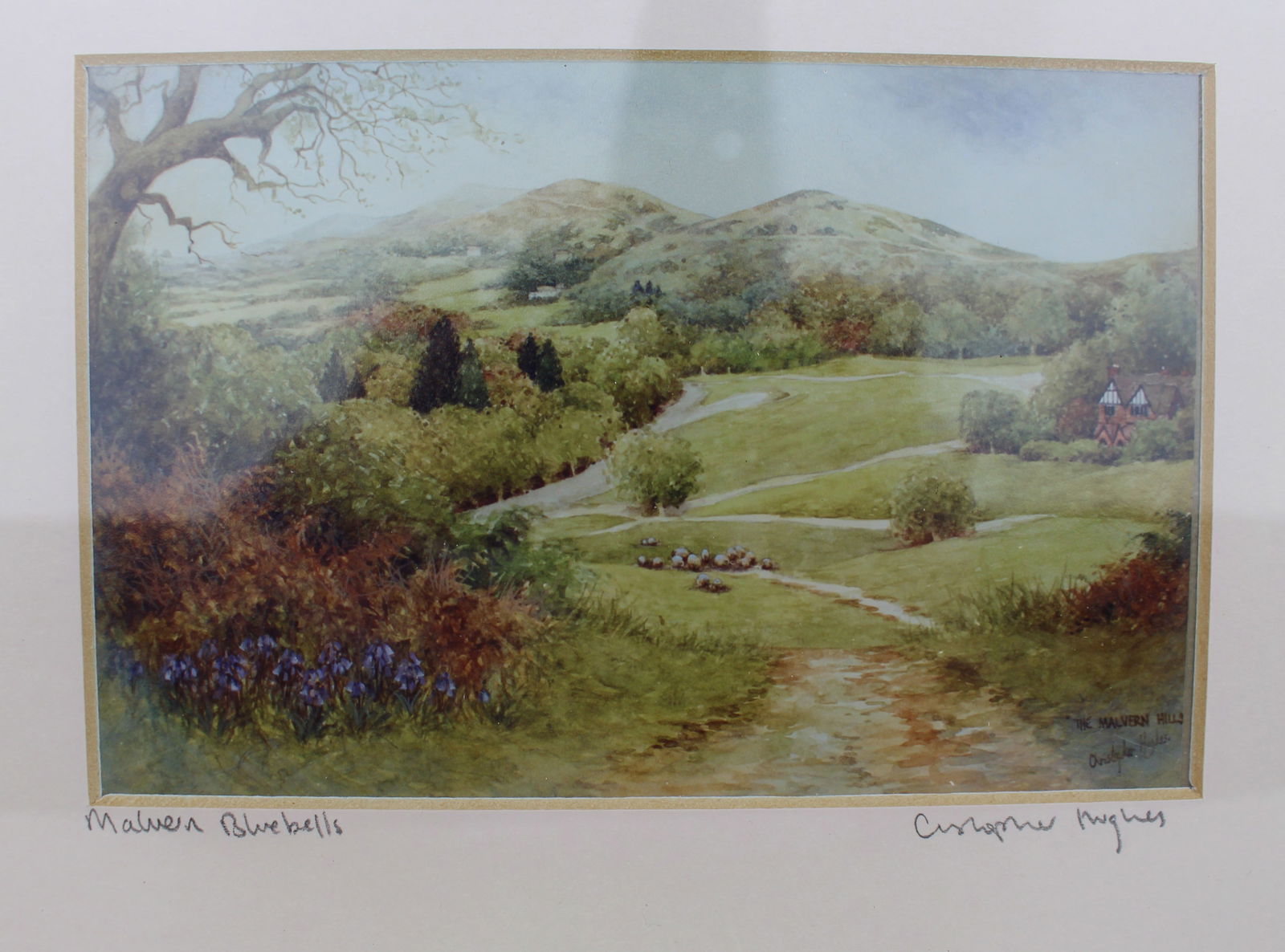 Pair of Limited Edition Framed Worcester Prints - 2