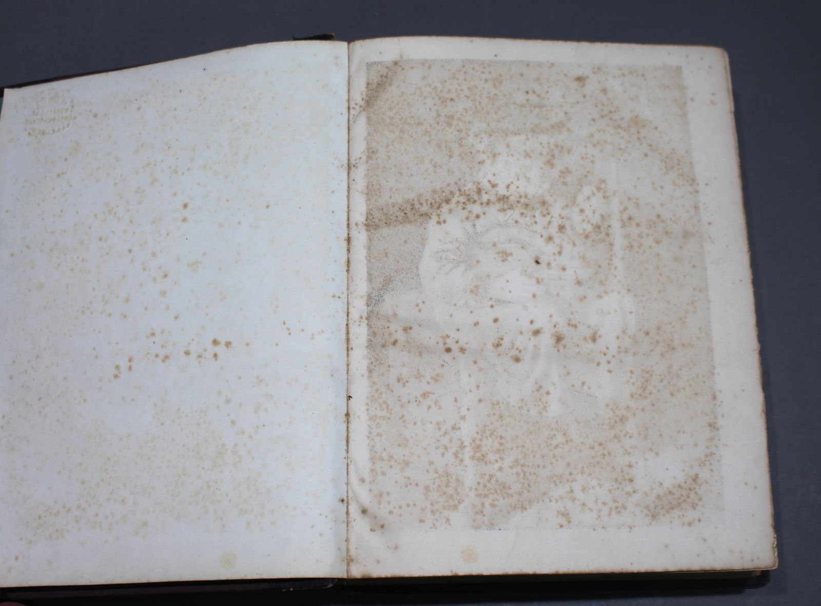 Chatterbox 1876 Book - 7