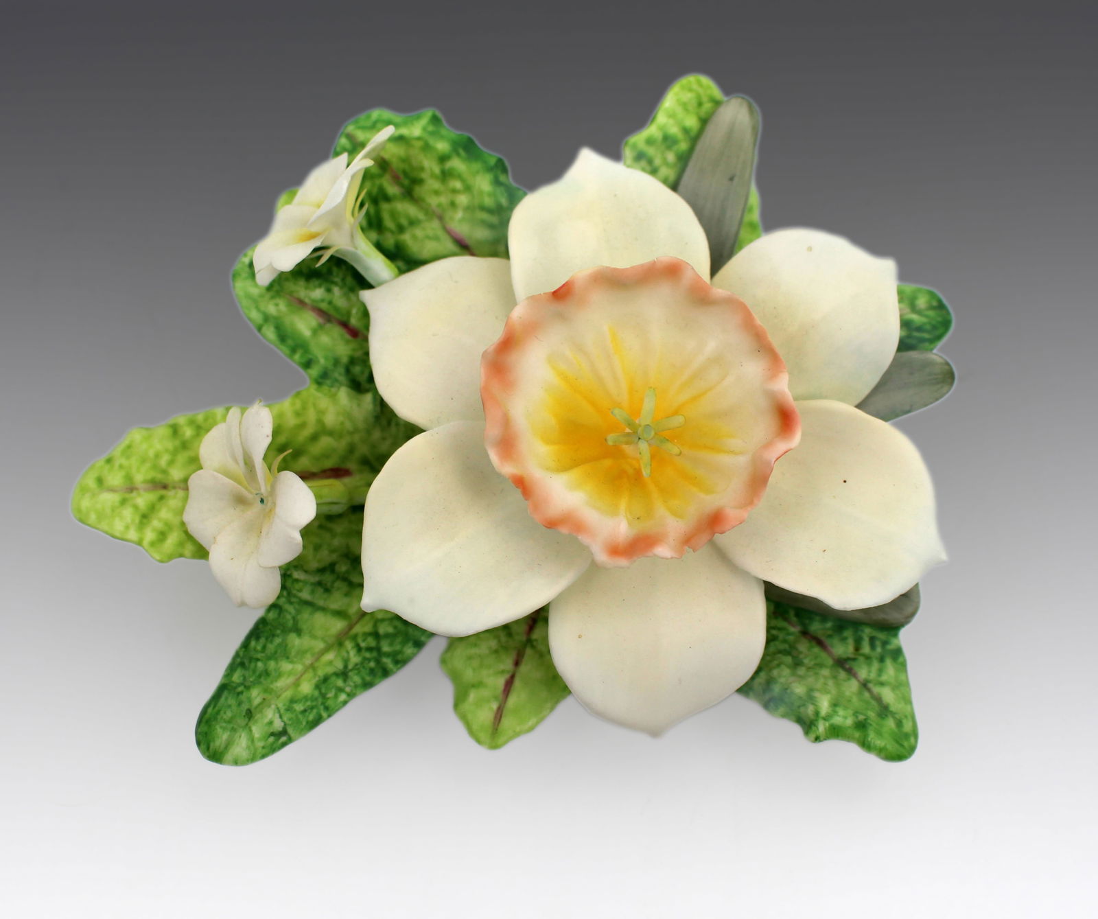 Royal Worcester Flower Narcissus: Title: Royal Worcester Flower Narcissus Description: Royal Worcester Flower Narcissus Fine and delicate vintage Royal Worcester porcelain flower study. Black factory backstamp. Measures 12.5