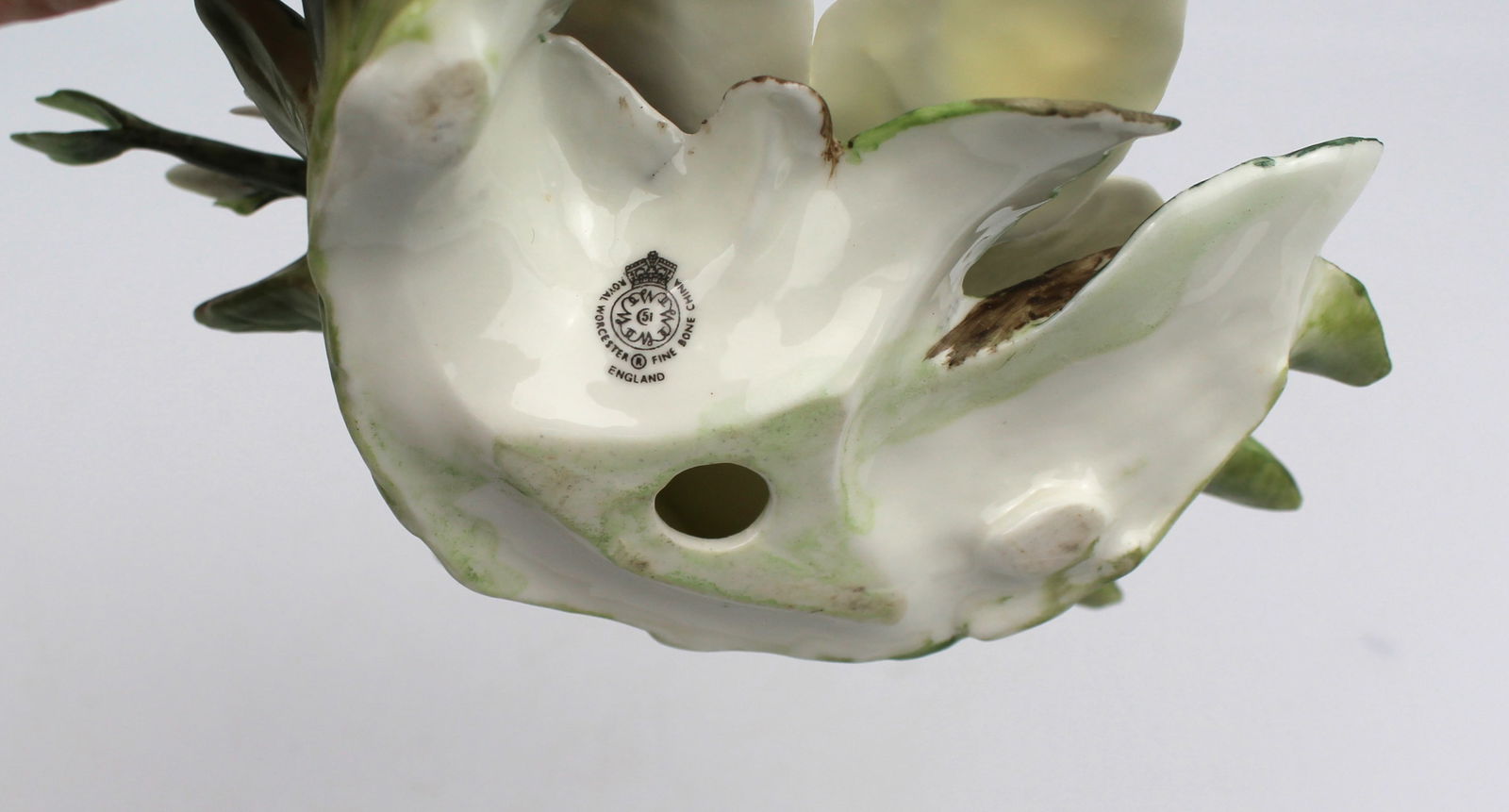 Royal Worcester Flower Hibiscus & Edelweiss - 3