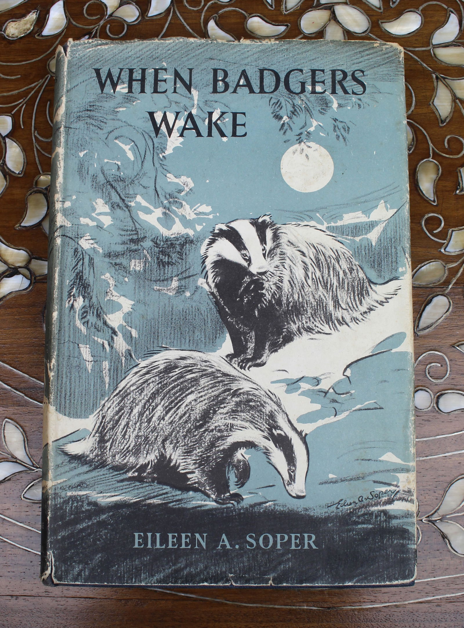 Eileen A. Soper – When Badgers Wake (1955) First Edition, Original Dust Jacket - 2