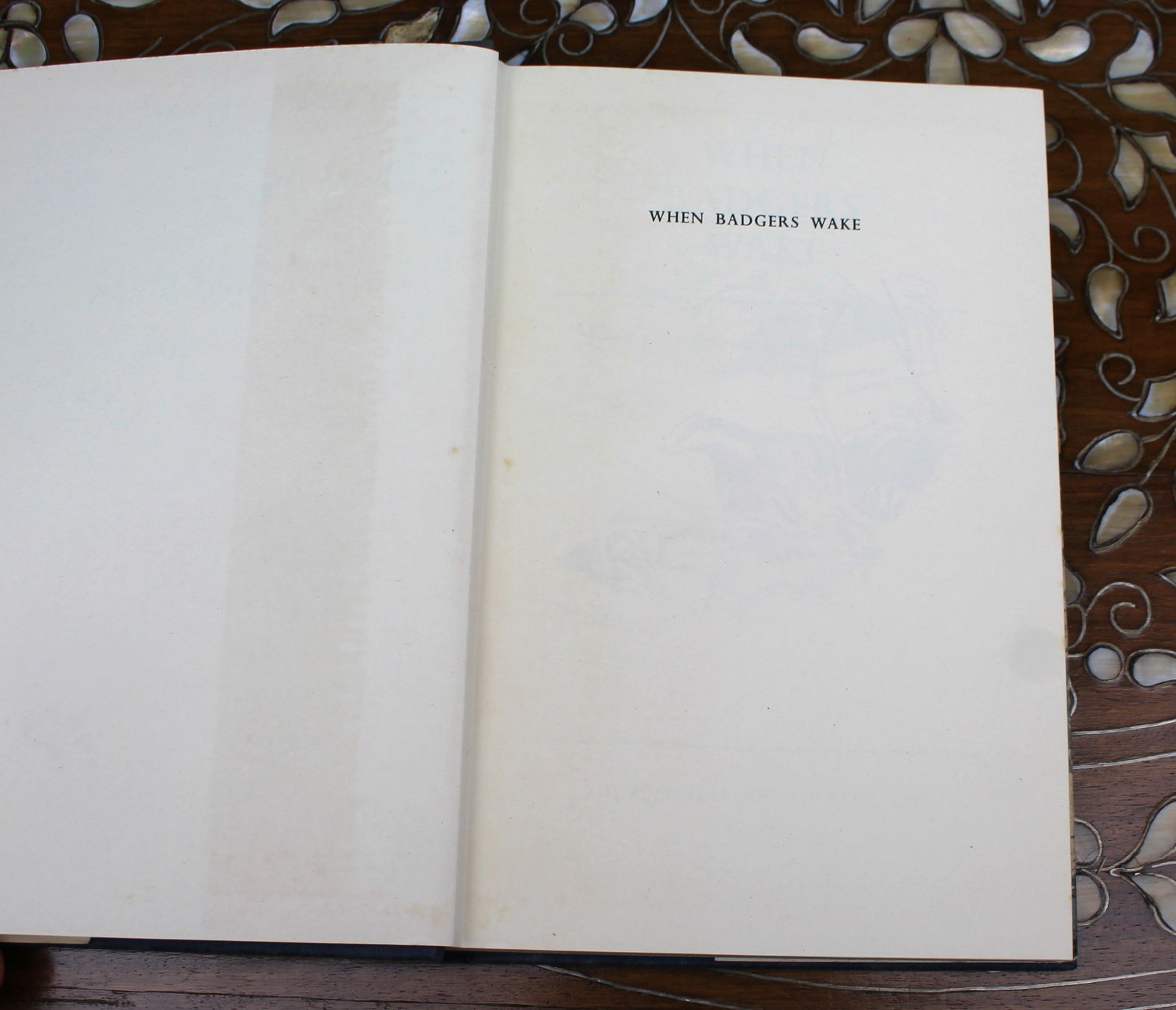 Eileen A. Soper – When Badgers Wake (1955) First Edition, Original Dust Jacket - 4