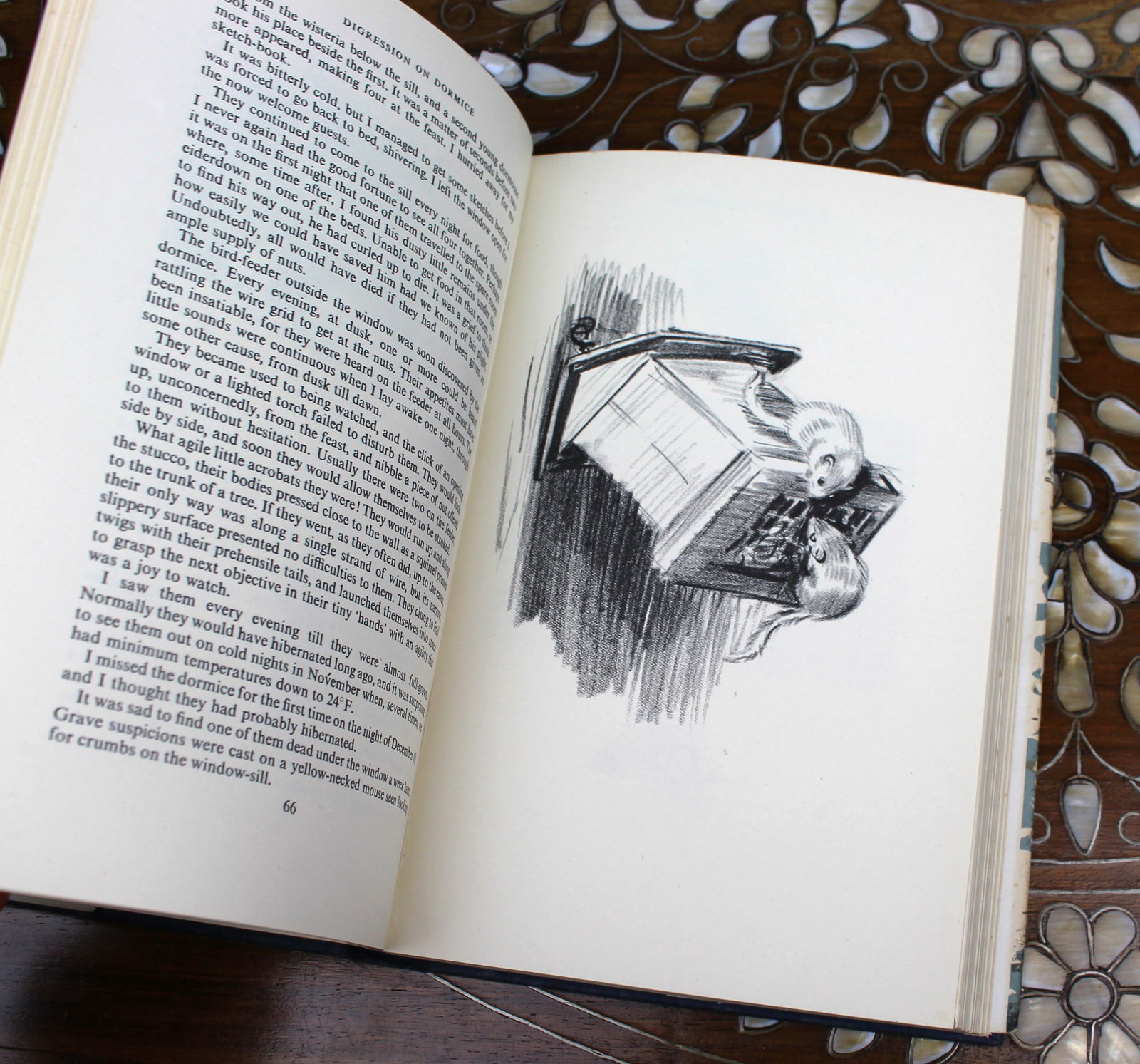 Eileen A. Soper – When Badgers Wake (1955) First Edition, Original Dust Jacket - 8