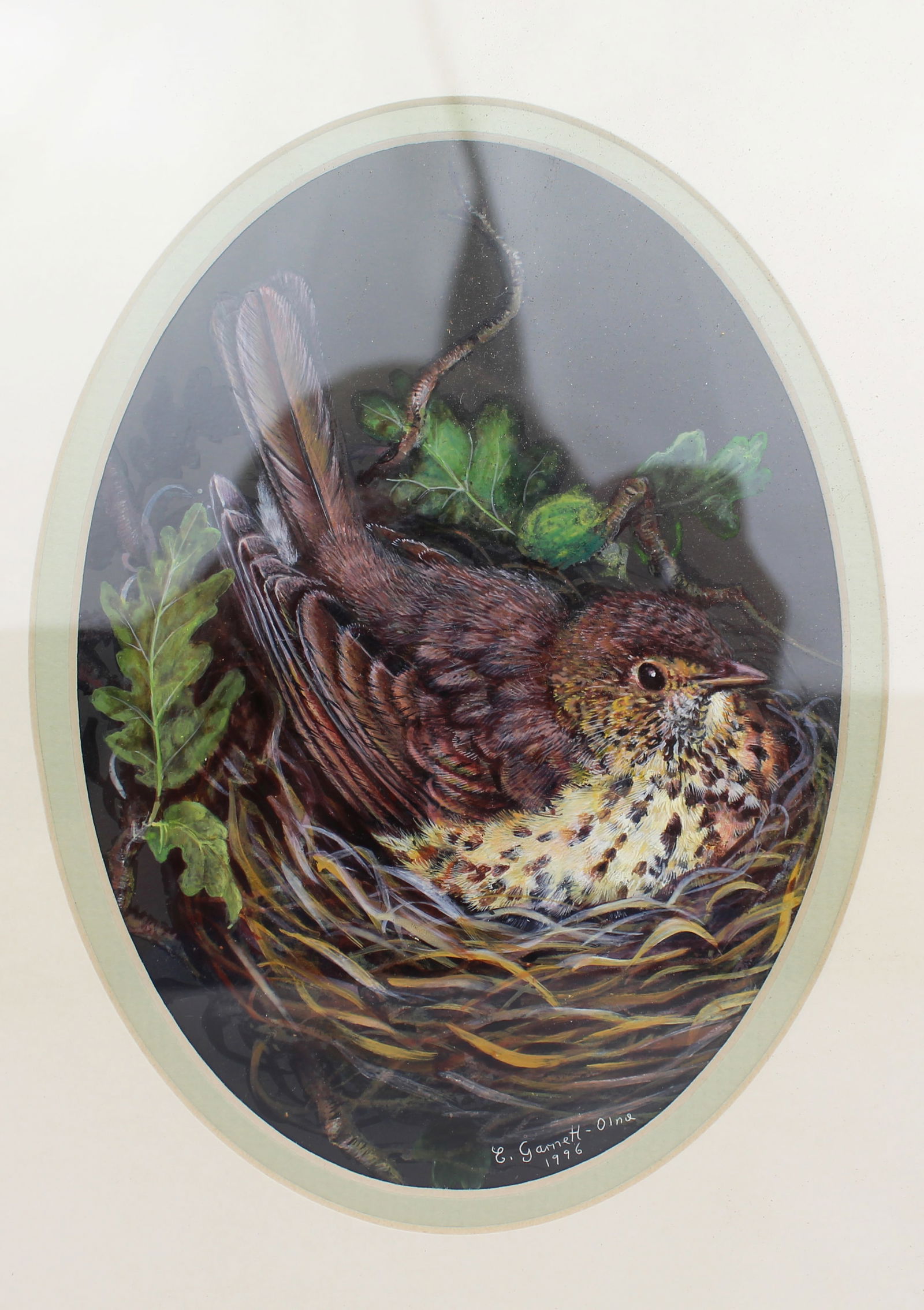 Set of 3 British Bird Paintings by Liz Garnett-Orme - 3