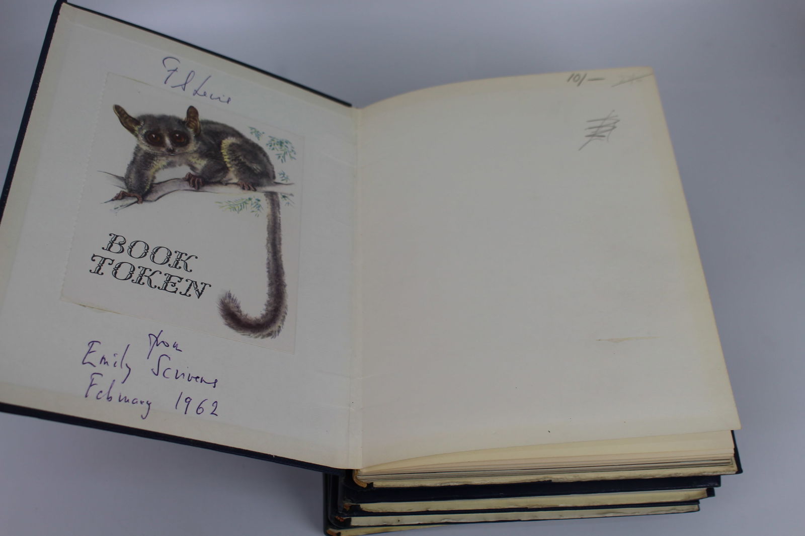 5 Volumes Les Albums des Guides Bleus, Librairie Hachette – 1950s - 4