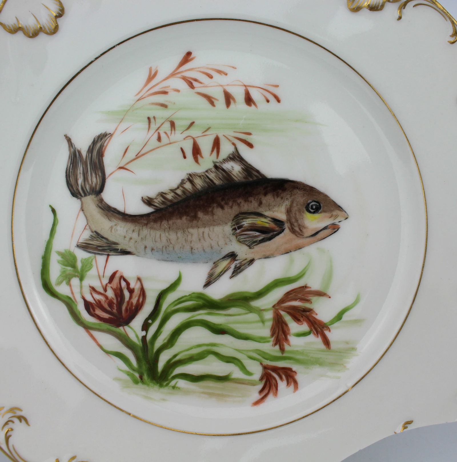 Set of 4 Edwardian Hand Painted Fish Plates, Signed Wolly Fowkes 1903 - 16