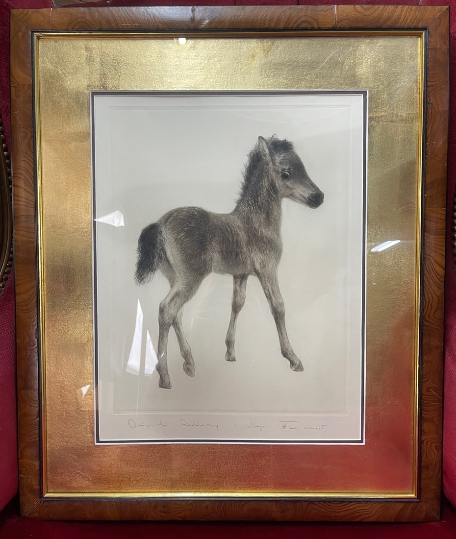 Drypoint by Kurt Meyer-Eberhardt (German, 1895-1977): Title: Drypoint by Kurt Meyer-Eberhardt (German, 1895-1977) Description: Original Drypoint of a Foal by Kurt Meyer-Eberhardt (1895–1977) A fine original drypoint etching by noted