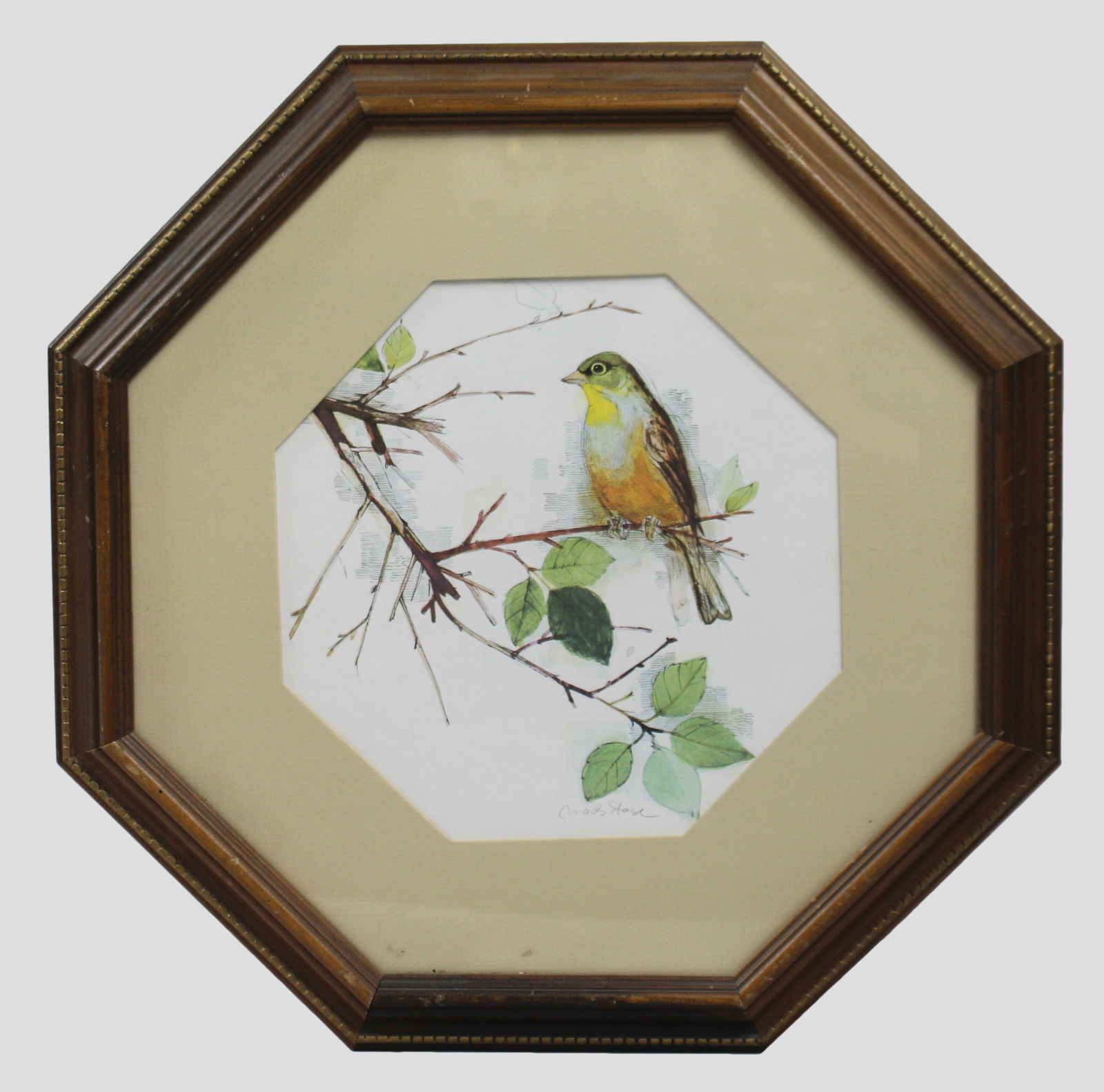 Bird Print Set in Octagonal Frame: Title: Bird Print Set in Octagonal Frame Description: Bird Print Set in Octagonal Frame Print. Mounted & set behind glass in octagonal wooden and gilt frame. Frame measures 41.