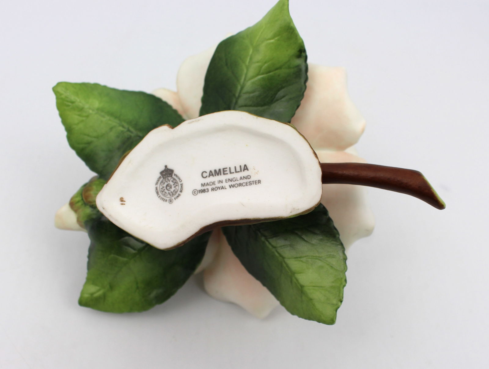 Royal Worcester Flower Camellia - 3