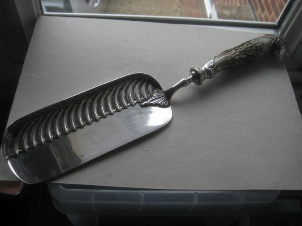 Large Antique Silver-Plated Crumb Tray: Title: Large Antique Silver-Plated Crumb Tray Description: Large Antique Silver-Plated Crumb Tray. Length is 14 Inches. Condition: Good Condition: Used Delivery option: Collection