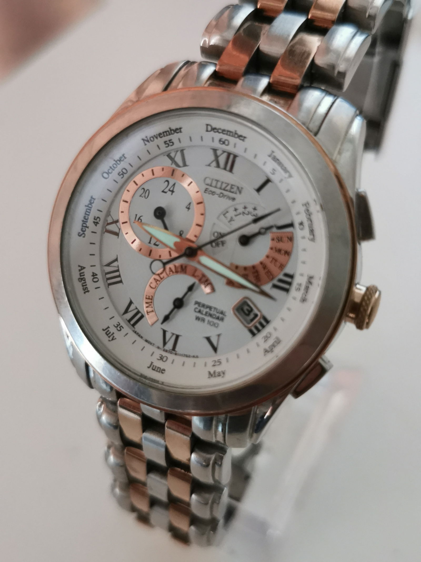 Citizen Eco-Drive Perpetual Calendar Two-Tone Watch - Model BL8106-53A (E870 Movement) (1 of 5)