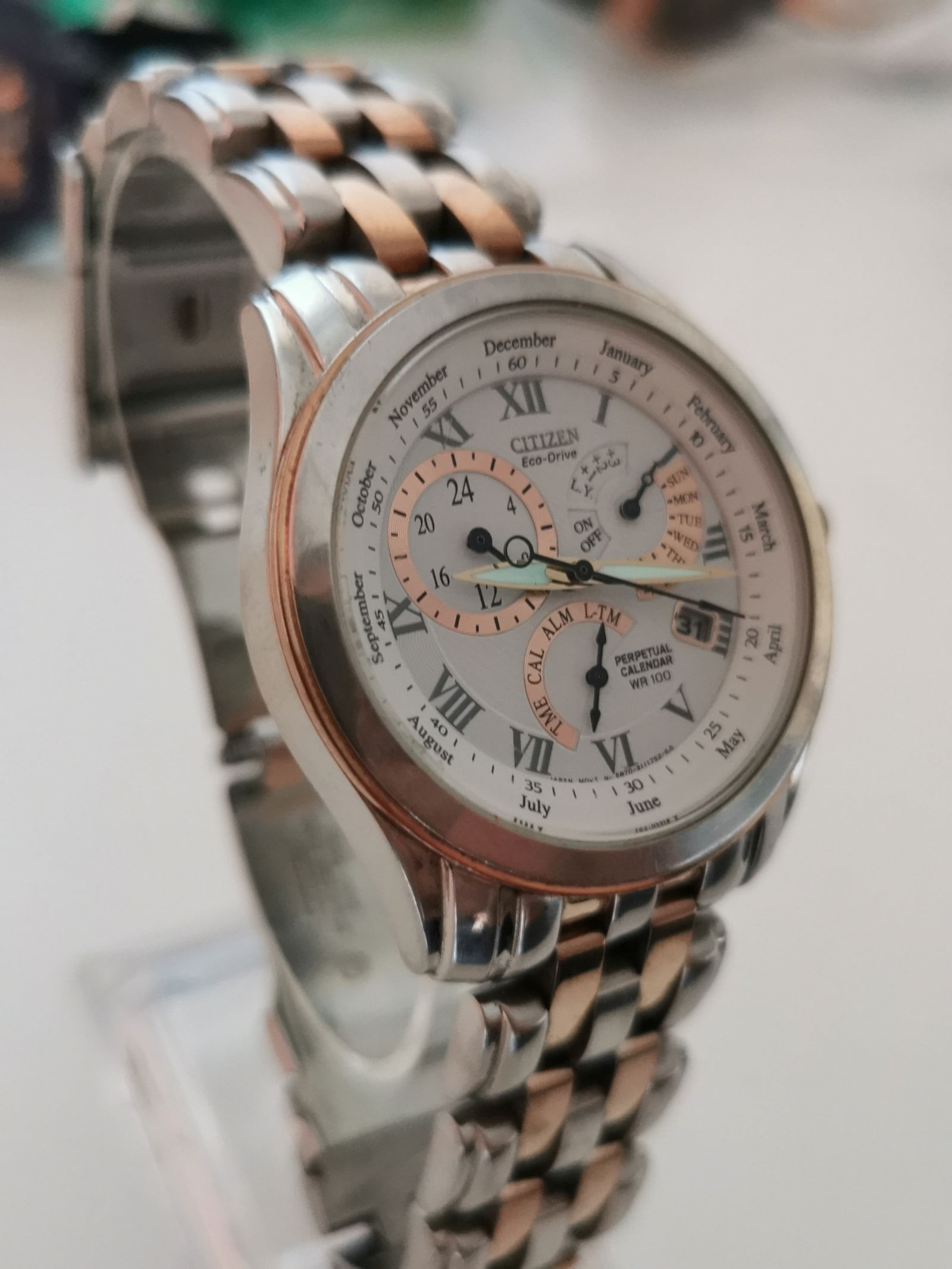 Citizen Eco-Drive Perpetual Calendar Two-Tone Watch - Model BL8106-53A (E870 Movement) - 2