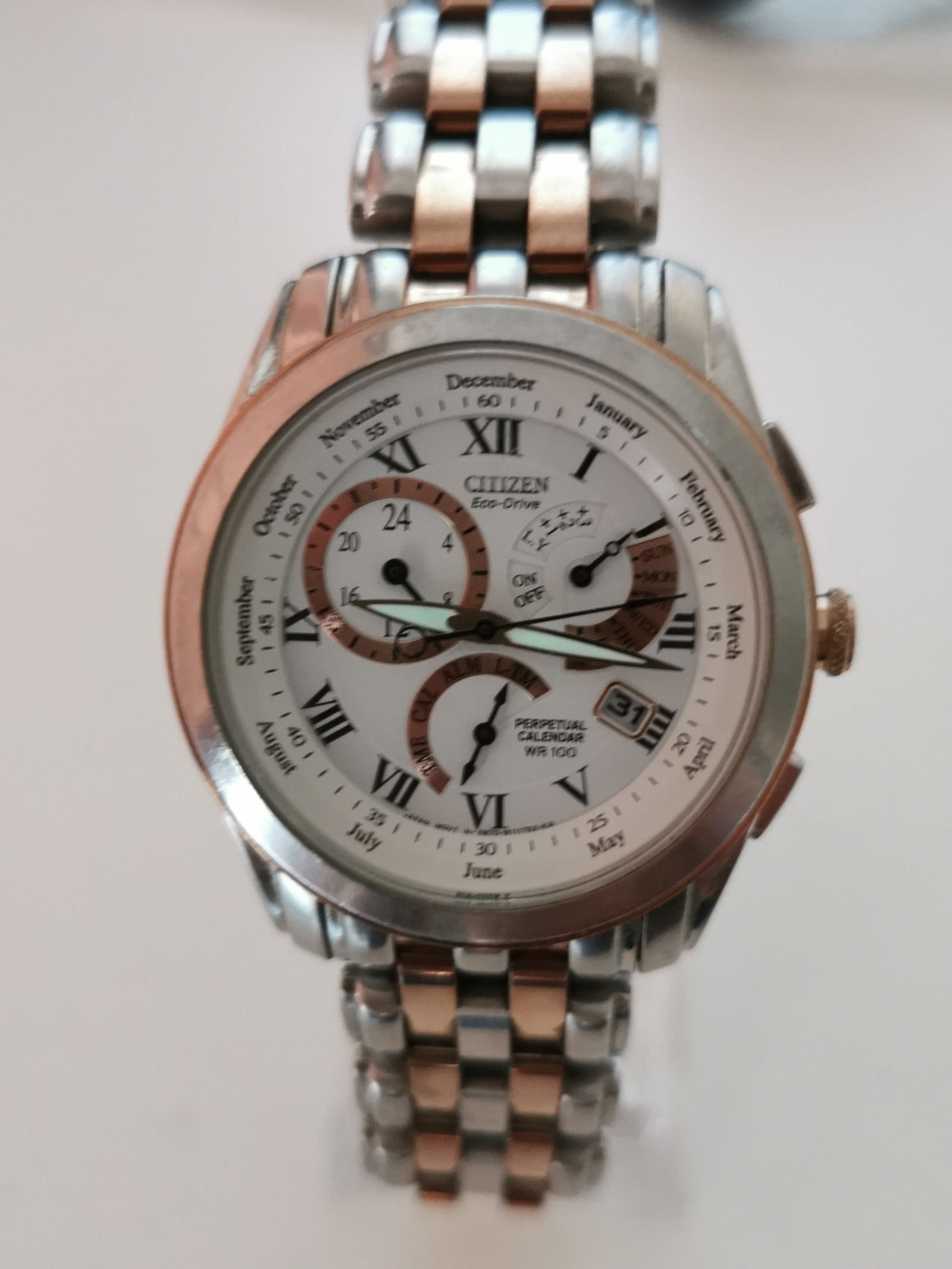 Citizen Eco-Drive Perpetual Calendar Two-Tone Watch - Model BL8106-53A (E870 Movement) - 3