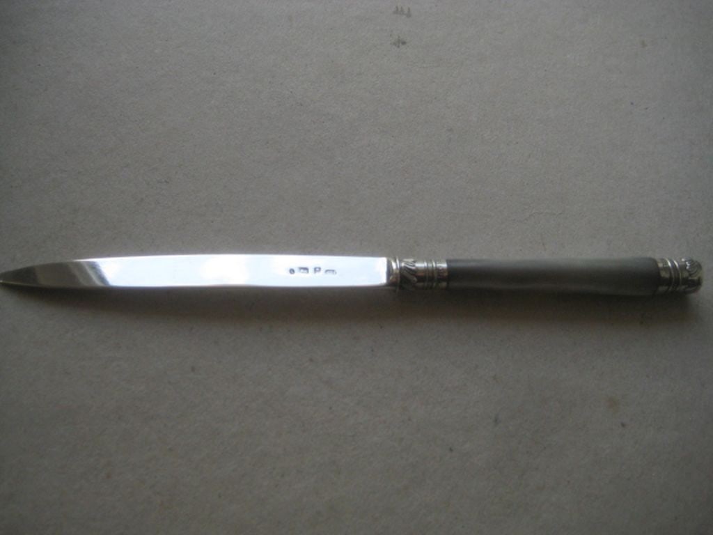 Antique George IV Mother of Pearl Hafted Paper Knife - 2
