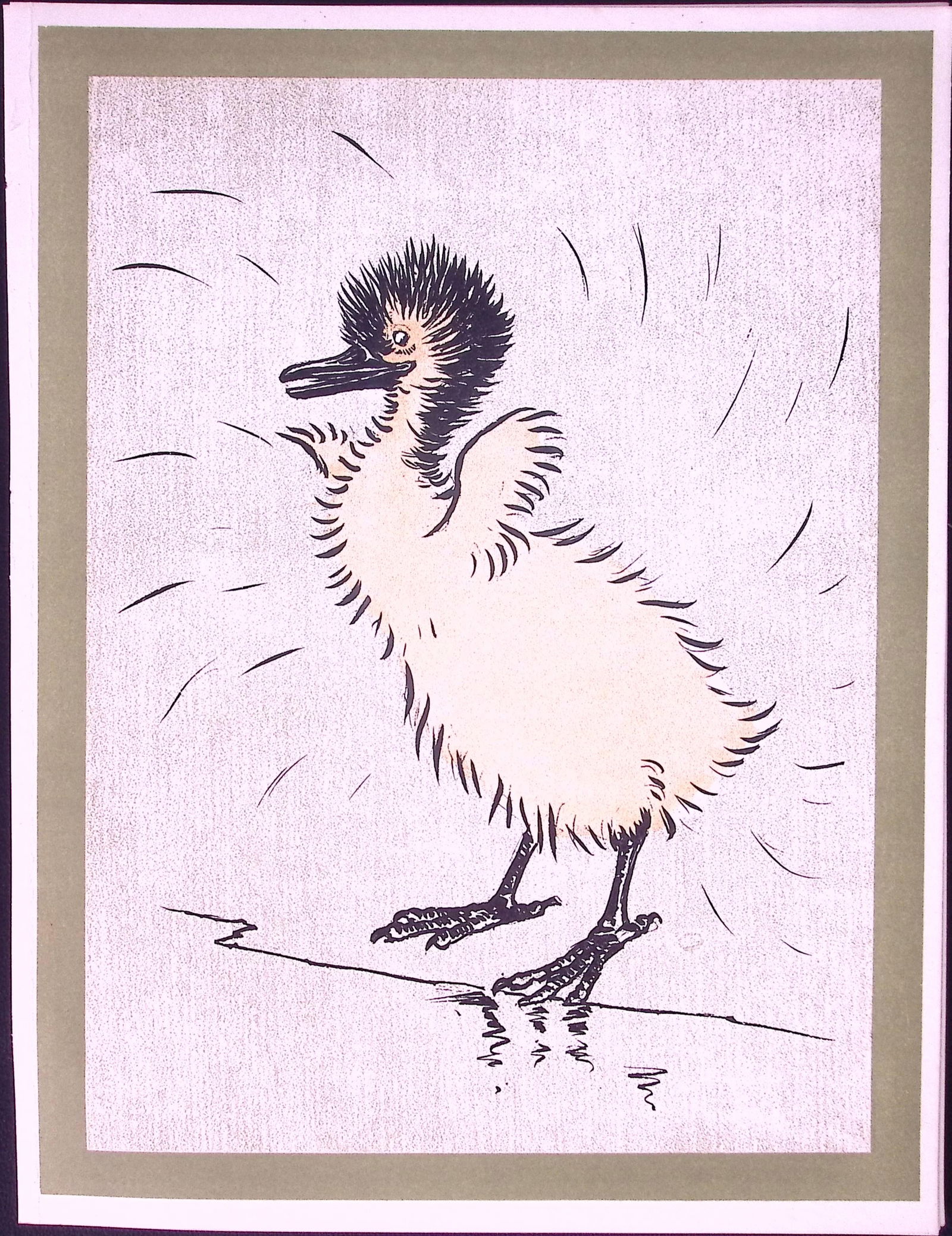 Cecil Aldin Antique Zoo Babies Scarce Illustration “Sacred Ibis”-20 (1 of 2)