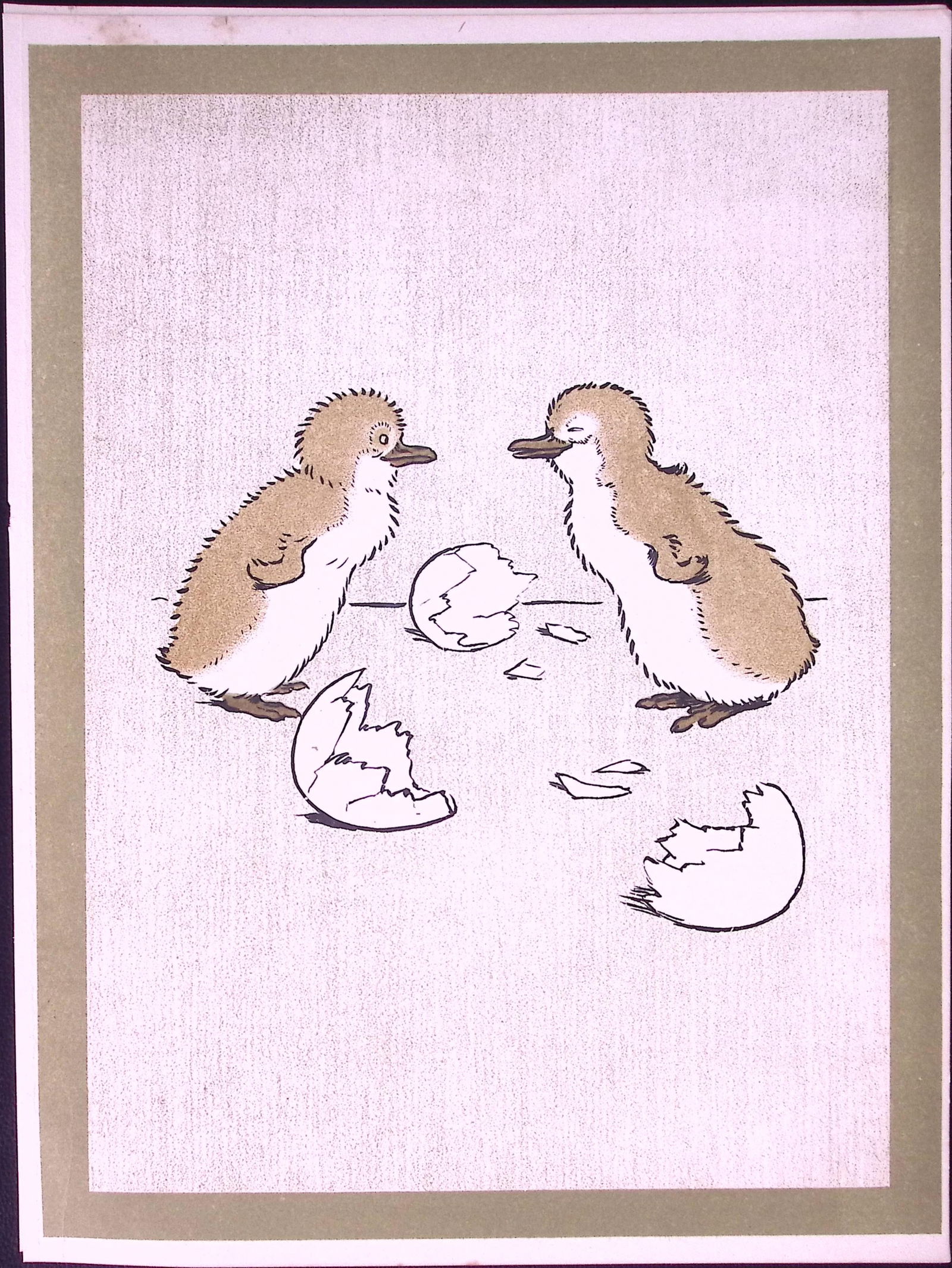 Cecil Aldin Antique Zoo Babies Scarce Coloured Illustration “The Penquins”-11 (1 of 2)