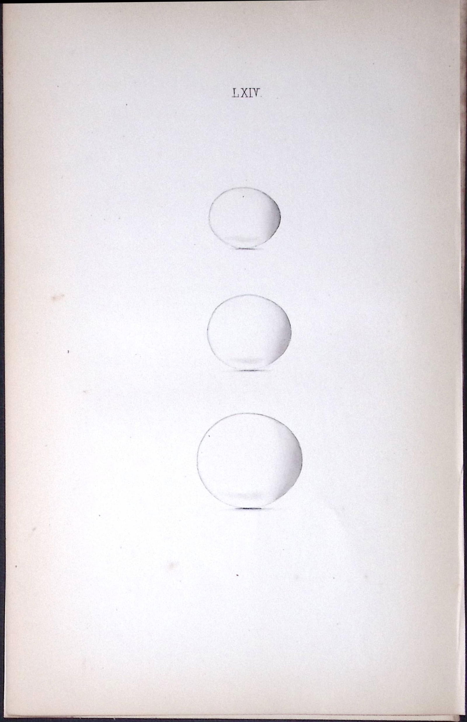 Kingfisher-William Hewitson Antique Nests & Eggs of British Birds Print-52: Title: Kingfisher-William Hewitson Antique Nests & Eggs of British Birds Print-52 Description: This Antique Print Was Removed From a 170 Years-Old Edition William Hewitson.