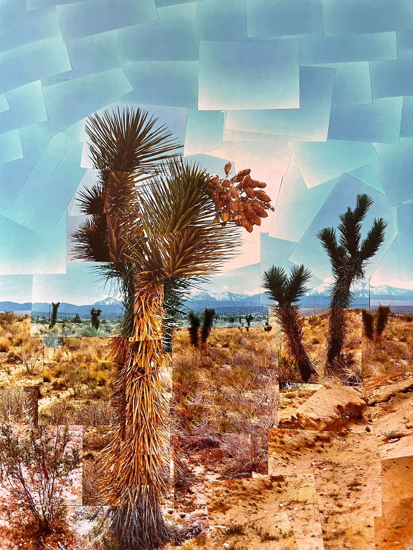 David Hockney (1937) ‘Pearl Blossom Highway’ Large Offset Lithograph In Vibrant Colours, - 5