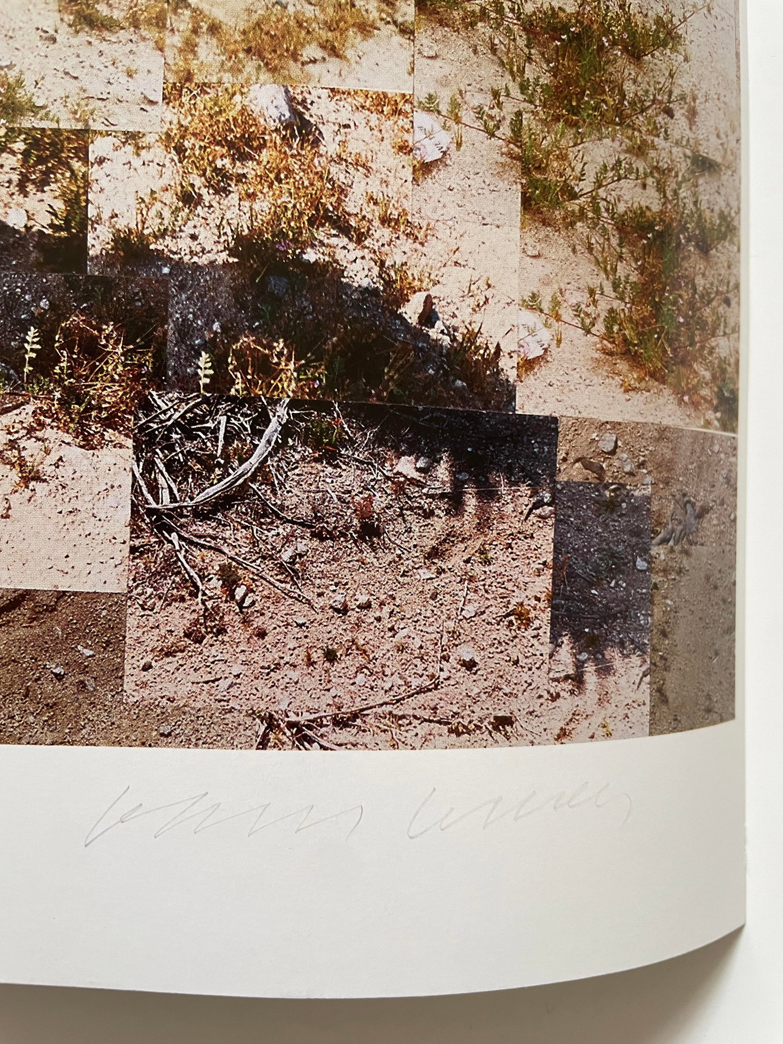 David Hockney (1937) ‘Pearl Blossom Highway’ Large Offset Lithograph In Vibrant Colours, - 9