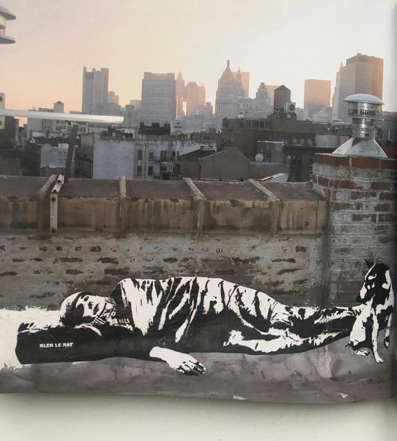 Blek Le Rat (b 1952-) 'Getting Through Walls', Double Levered Cardback Book, 2nd Edition, 2008 - 5