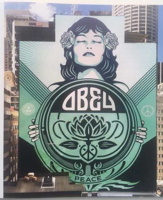 URBAN SCRAWL- The Written Word on Street Art, Lou Chamberlin, Hardback, Street 1st Edition, 2018 - 8