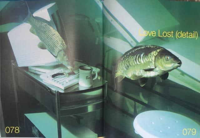 Damian Hurst (b1965) ‘28 Tablets’, Pictures from the Saatchi Gallery, 1st Print, Hardbac - 19