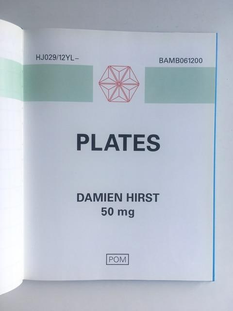 Damian Hurst (b1965) ‘28 Tablets’, Pictures from the Saatchi Gallery, 1st Print, Hardbac - 7