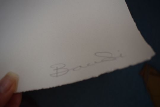 Bambi (B1979) ‘Exotica’ Screen Print, Signed, Editioned, 2012 - 4