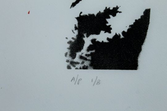 Nick Walker (b 1969) 38 Pigtails, Artists Proof, Signed, Limited Edition, Screen Print On Card, 2... - 3