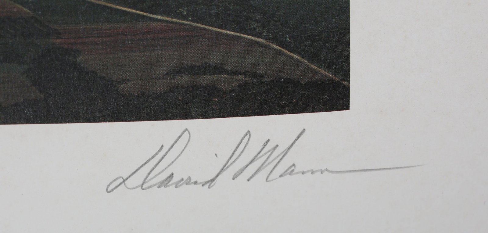 David Mann (1968-04) ‘The Airplane’, Lithograph in colours, Editioned, Hand Signed, 2004 - 3