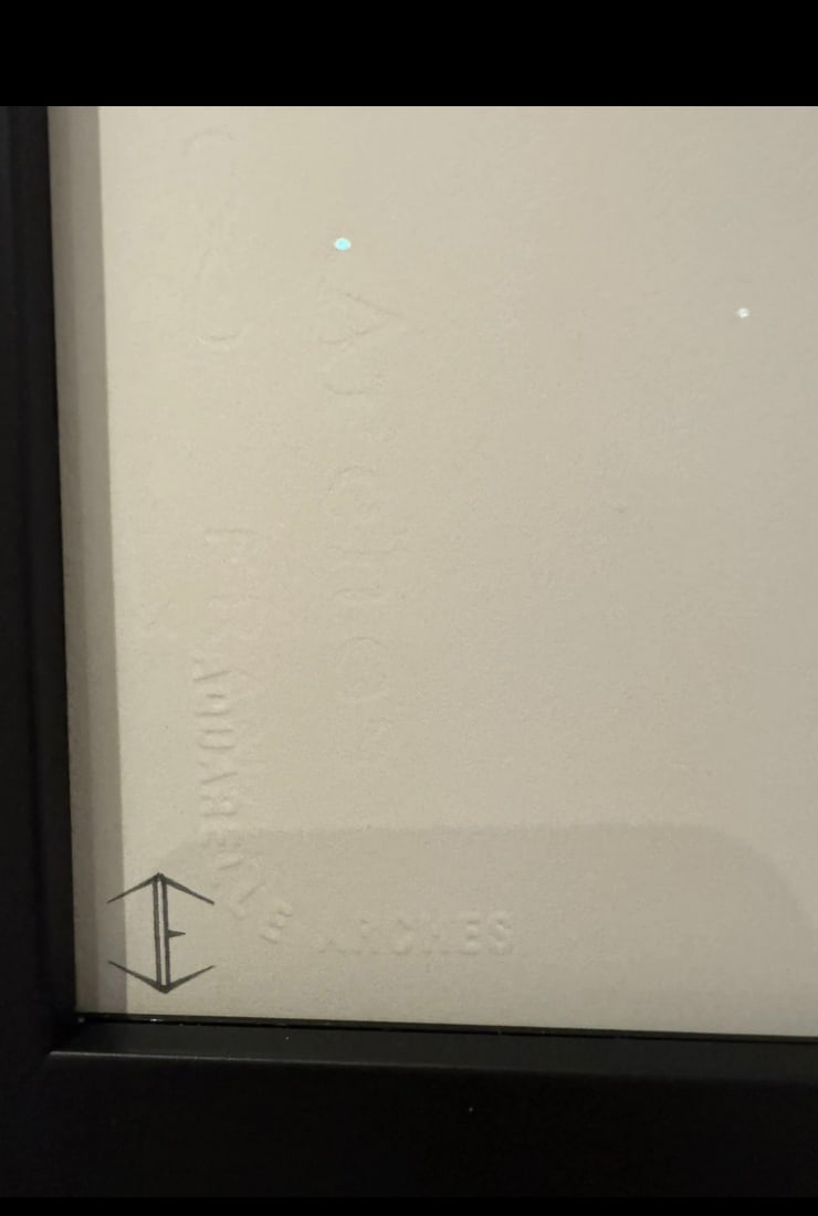 Jaime Eade Original Colour Pencil Hyperrealism Artwork - 4