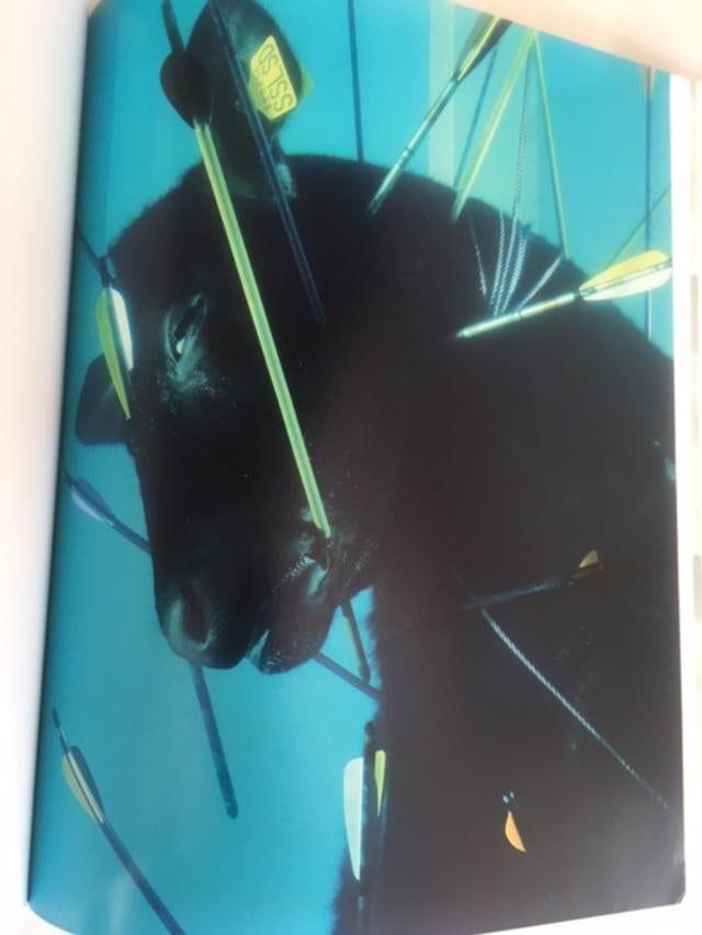 Damien Hirst (b 1965) Beyond Belief, Hardcover, For Whitecube Gallery, 1st Edition, 2008. - 13