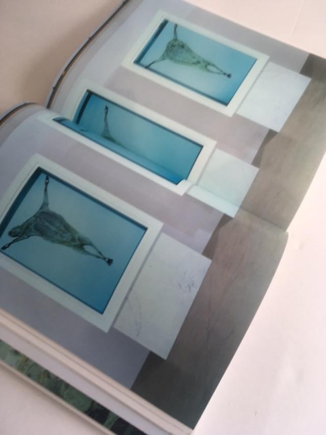 Damien Hirst (b 1965) Beyond Belief, Hardcover, For Whitecube Gallery, 1st Edition, 2008. - 15