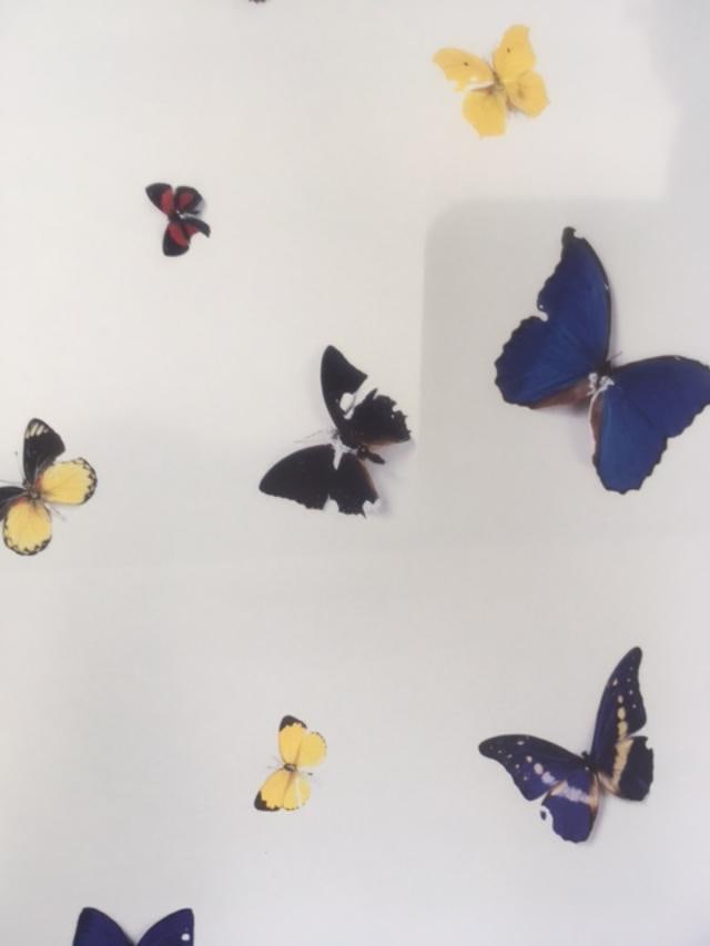 Damien Hirst (b 1965) Beyond Belief, Hardcover, For Whitecube Gallery, 1st Edition, 2008. - 19