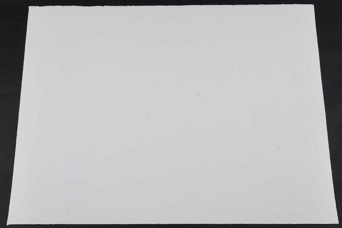 Nick Walker (b 1969) ‘Coran-Can’, Large Screenprint Editioned, Signed With COA, 2010 - 7